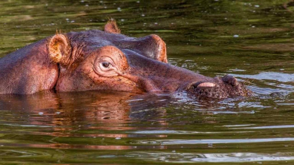 Monumentálny objav v Afrike. Vedci odhalili život ľudí spred 100-tisíc rokov