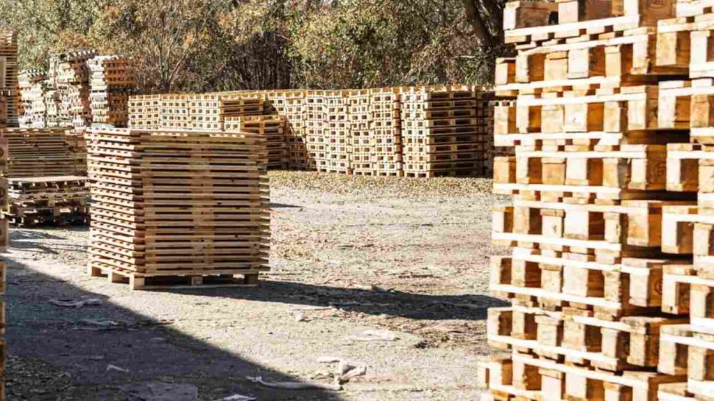 Drevo silnejšie než oceľ. „Superdrevo“ už vstupuje do výroby