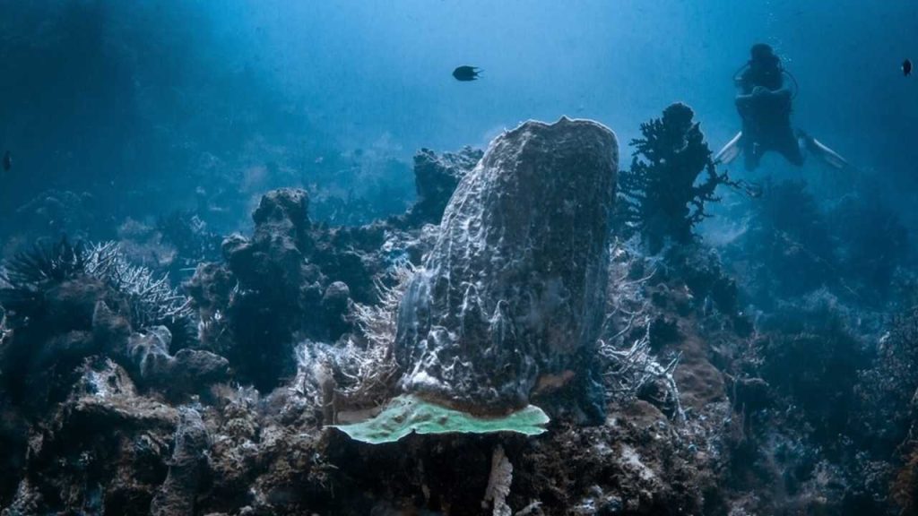 Skryté procesy v oceánoch odhalené. Vedci zachytili signály, ktoré sme doteraz nevideli