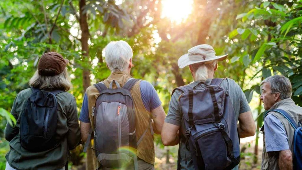Ilustračná fotografia: Skupina seniorov na spoločnej turistike v zelenom lese. Nová vedecká štúdia naznačuje, že pravidelné aktivity v prírode môžu pomáhať zmierňovať pocit osamelosti a vytvárať príležitosti na nadväzovanie nových priateľstiev a sociálnych vzťahov. Foto: Rawpixel.com / Shutterstock